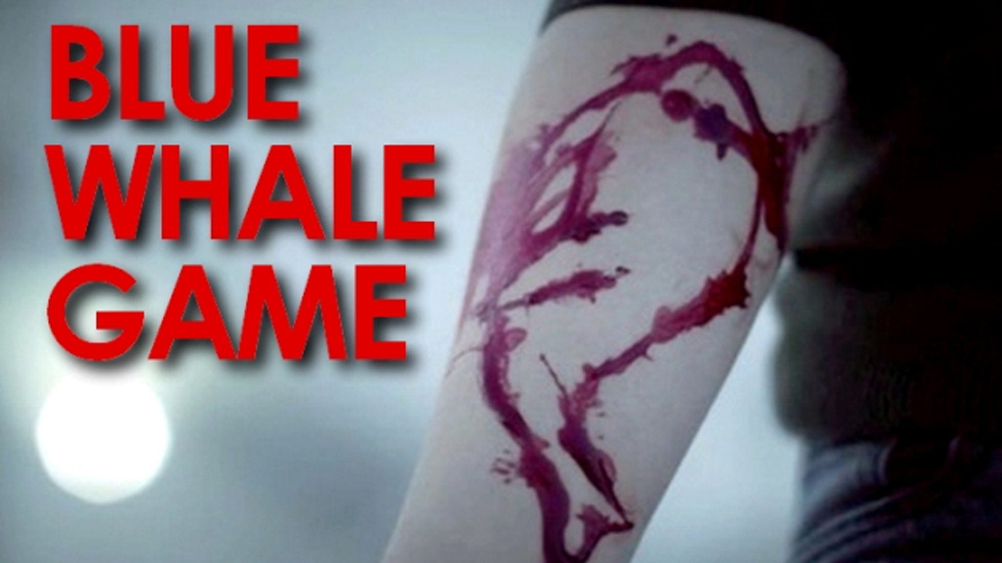 ಬ್ಲೂವೇಲ್ ಚಾಲೆಂಜ್ ಶೋಧ: ಕೇರಳ ನೆಟ್ಟಿಗರಿಗೆ ಪ್ರಥಮ ಸ್ಥಾನ